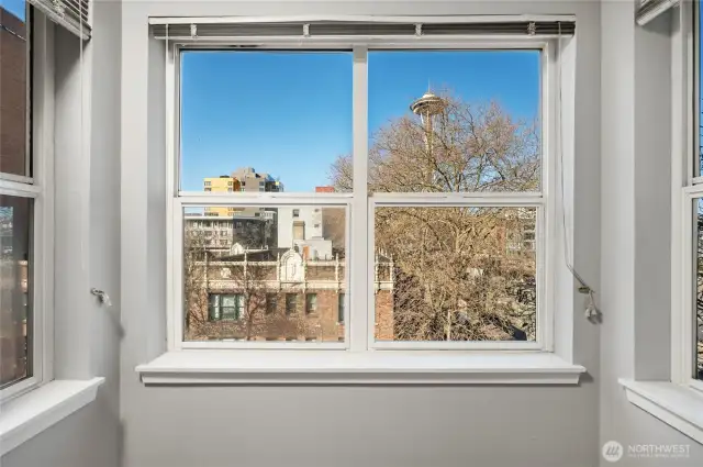 Space Needle View from Dining Room, Enjoy NewYear and July 4th Firework from your own unit!