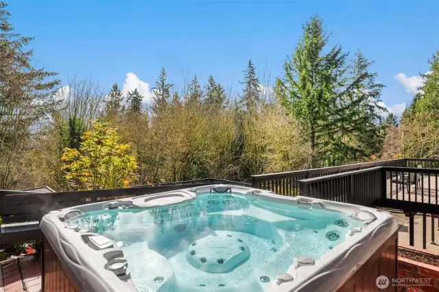 Unwind in the hot tub while enjoying a peek-a-boo view of Lake Sammamish, offering the perfect blend of relaxation and natural beauty.