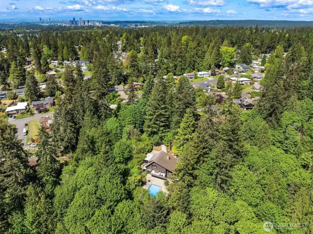 Where can you find privacy like this in Bellevue? Right here, in your own private sanctuary.