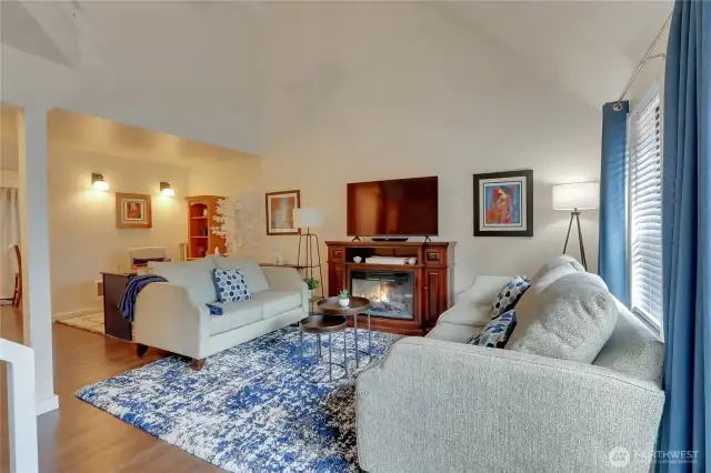 6607 living room with Fireplace and Queen sized sofa couch
