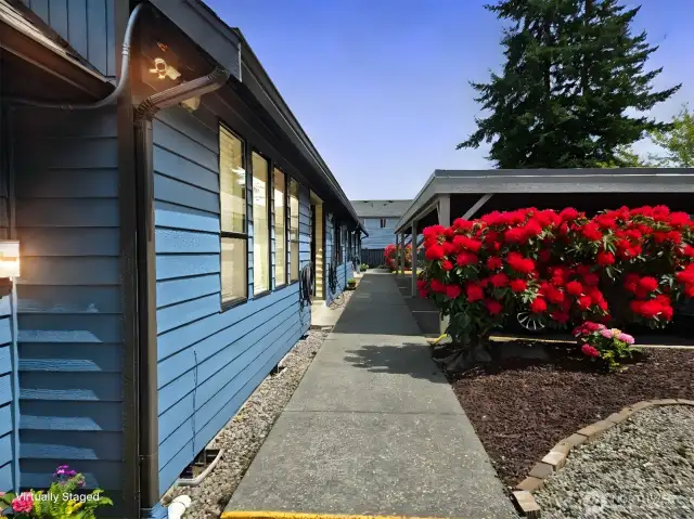 front walkway between units and carport.