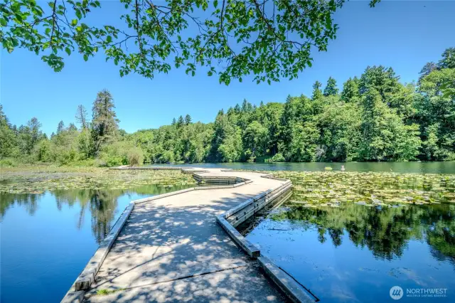 Lake Fenwick Park