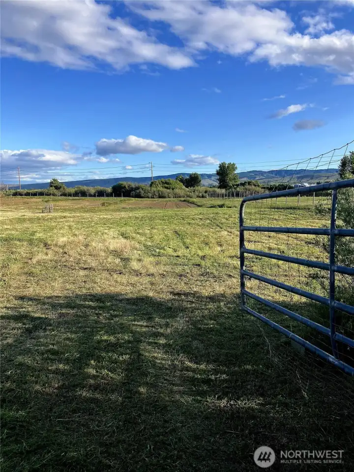 At the gate on Wade Rd facing south.