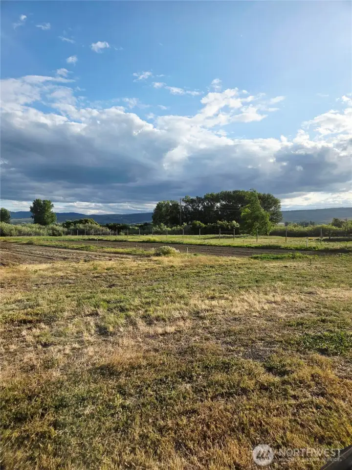 View of the property standing on the south side of the shop.