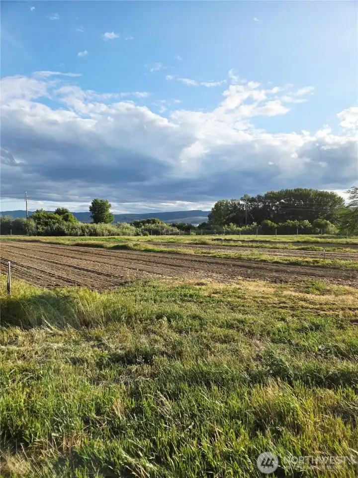 View facing south/southwest.