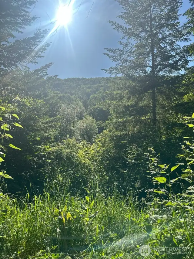 View from one of the potential homesites.