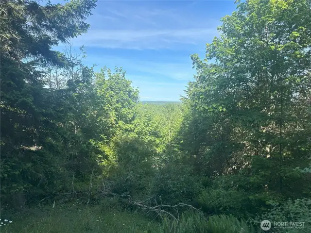 View from the top of the property looking east.