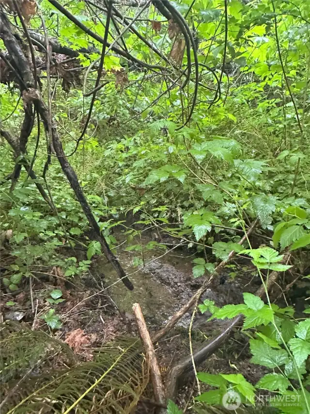Stream meanders through the property.