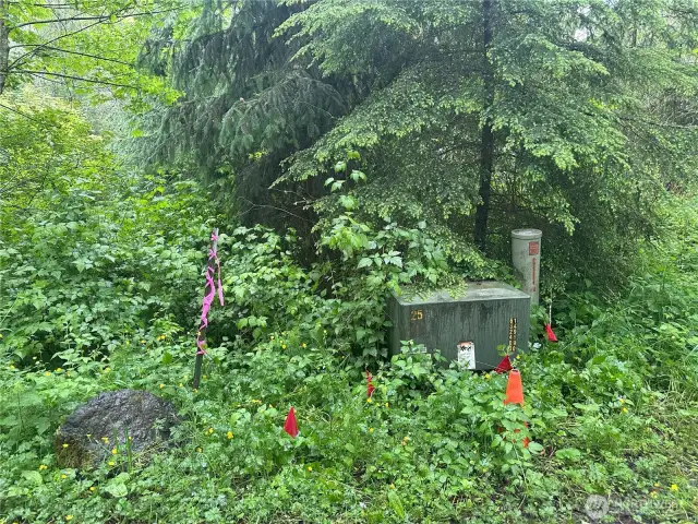 Line markers on Elkhorn Lane. Utilities in road.