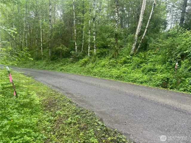 Line markers on Elkhorn Lane.