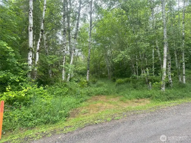 Driveway into property.