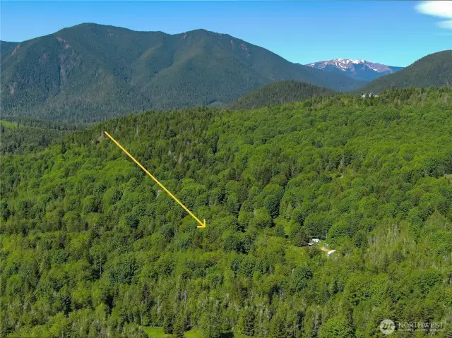 Approximate location of property.