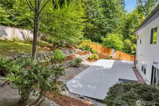 View of backyard