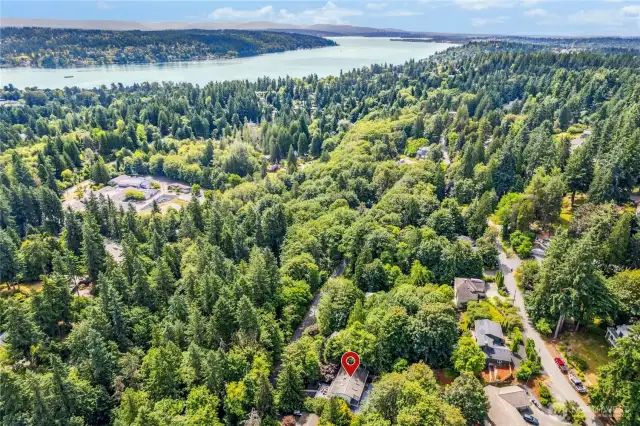 Welcome home to Lake Forest Park!