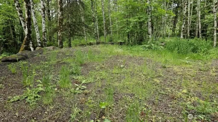 Home site 136 Peppermill Rd, Kelso WA 6 acres