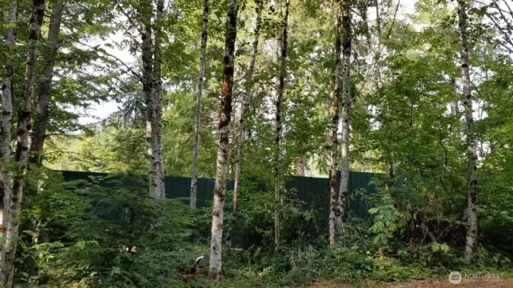 136 Peppermill Rd, Kelso Privacy fence on 6 acres with building sites
