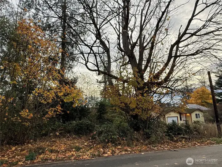 The home sits on a double lot, so there's plenty of room to build a shop.