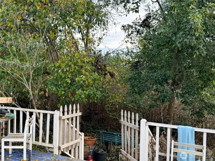 Back deck leads to the seasonal stream and Keystone Preserve. Be careful on the deck.