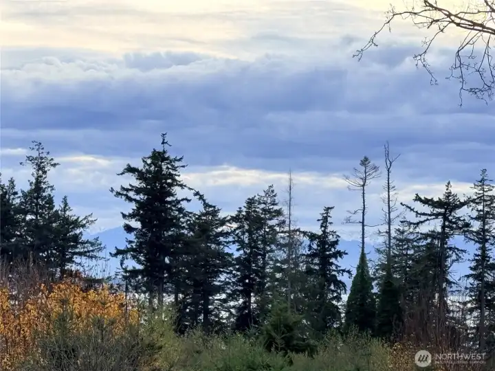 Little bit of a view off the back deck. The home backs up to the new Keystone Preserve with miles of trails.
