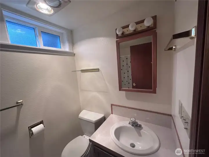 Lower Level Bathroom