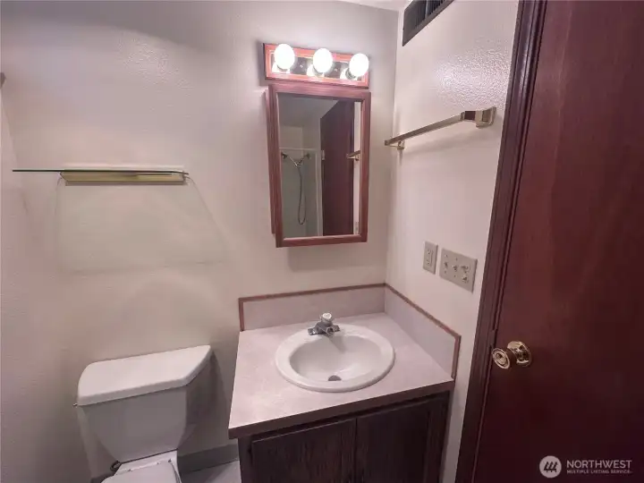 Lower Level Bathroom