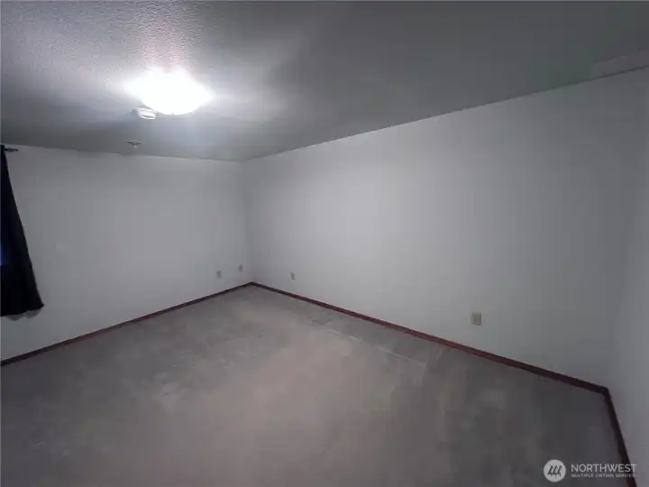 Primary Lower Level Bedroom