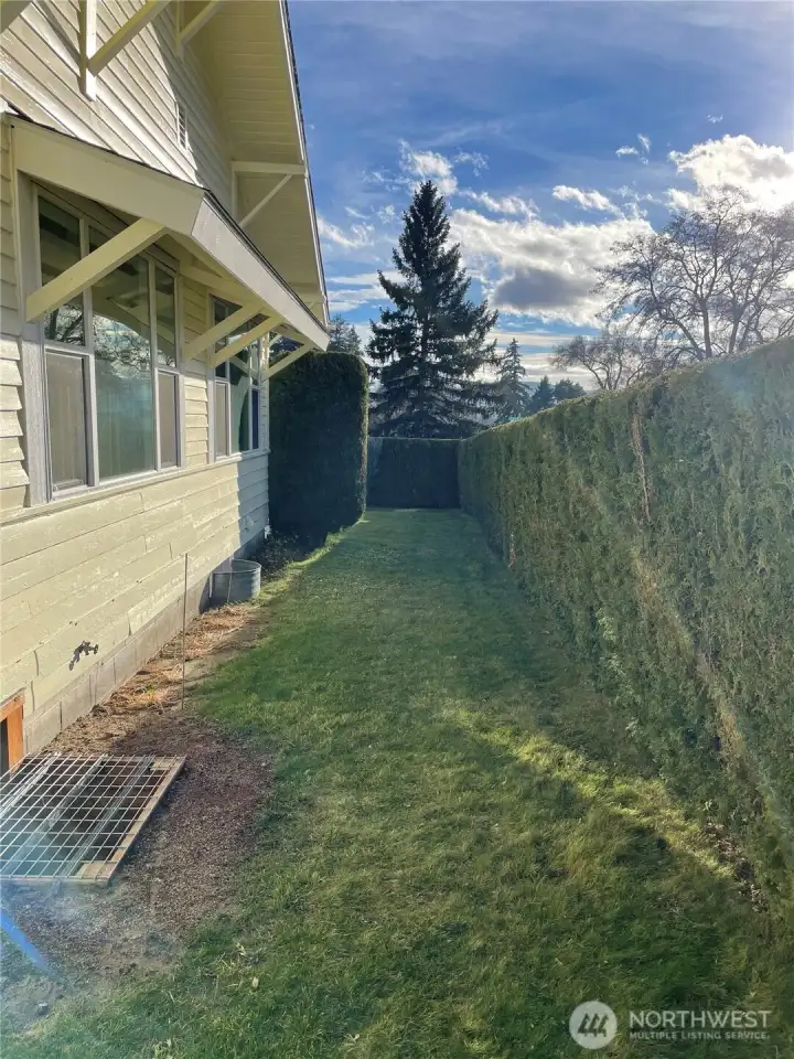 New Window Overhangs