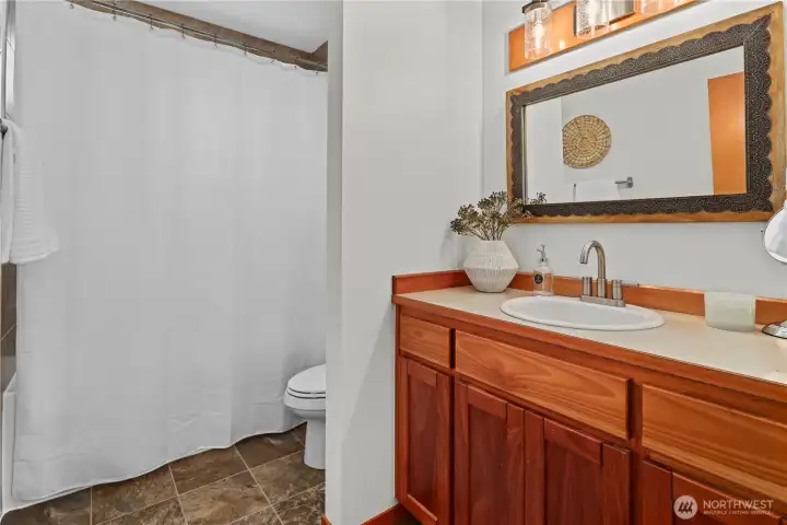lower level full bathroom