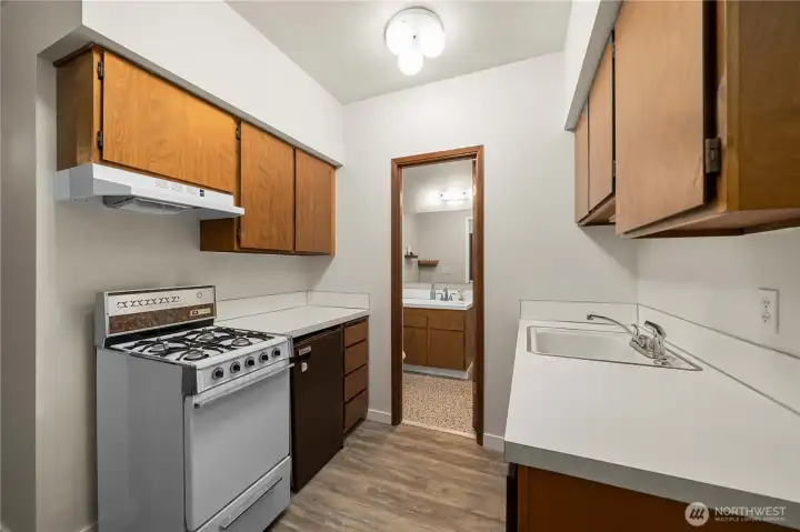 ADU/Apartment Kitchen