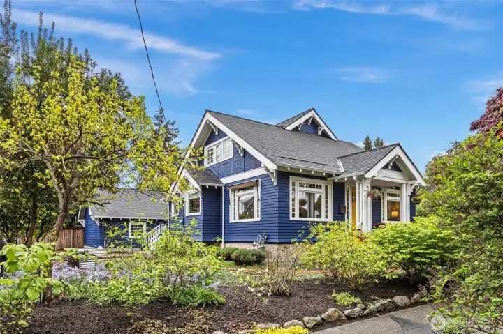 Navy and white, yellow door, corner lot at the top of the hill. A hundred years in — and the Lacewing landscape is hitting its May stride.