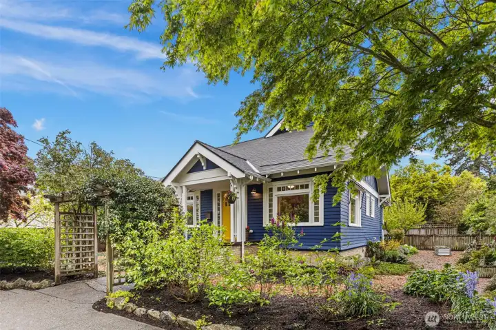 Japanese maples on the parking strip, a natural boundary that took decades to earn.
