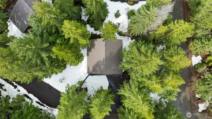Aerial view of home. Beautiful with stunning trees surrounding.