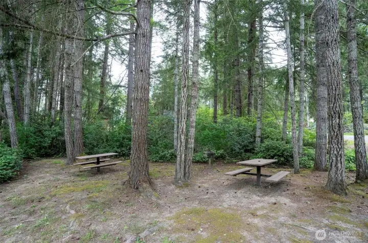 Picnic community area Picnic community area