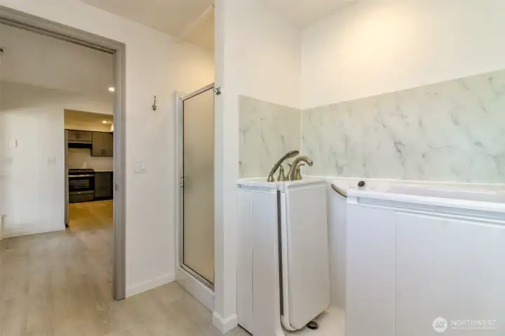 Lower level full bathroom