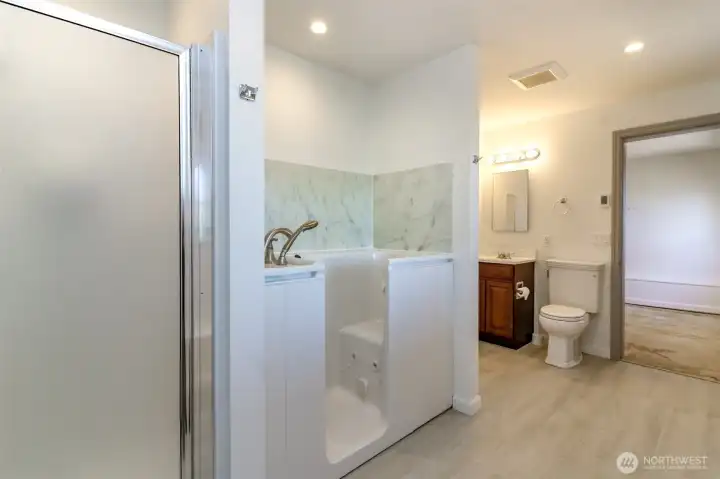 Lower level bathroom