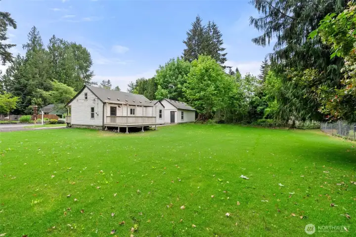Large Yard
