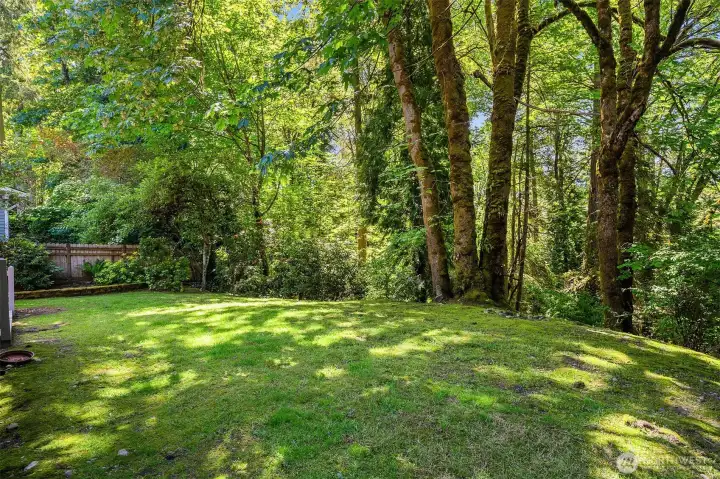 Your own backyard oasis!