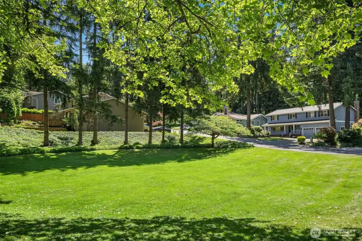 Grassy open space across the street.