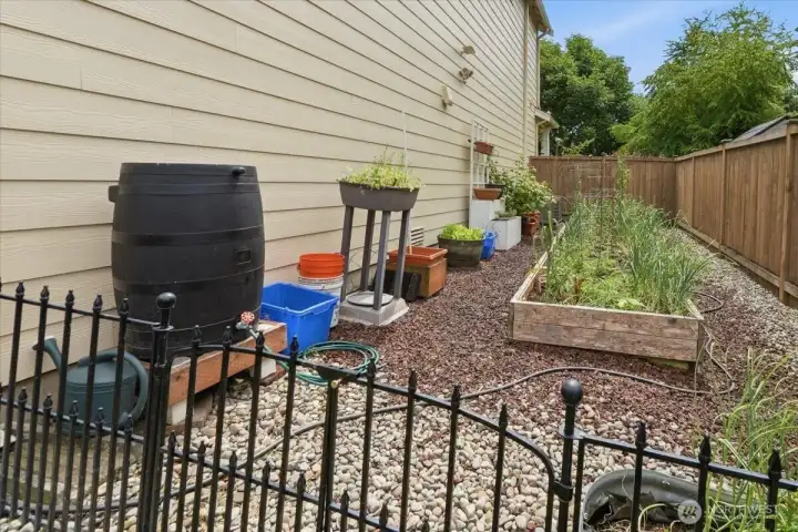 Raised Container Gardens-Rain Barrel