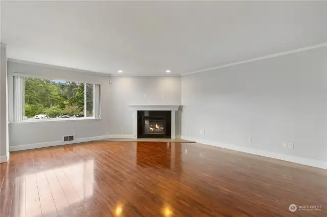 Gas fireplace in living room.