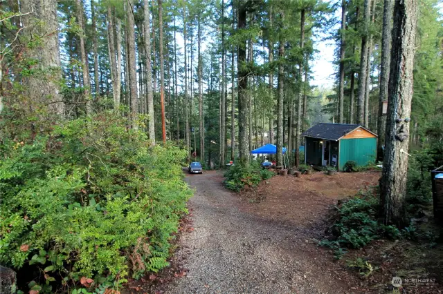 As you walk down the path from the road you are greeted by tranquil natural surroundings and the chirps of the birds as they forage on the abundant foliage.