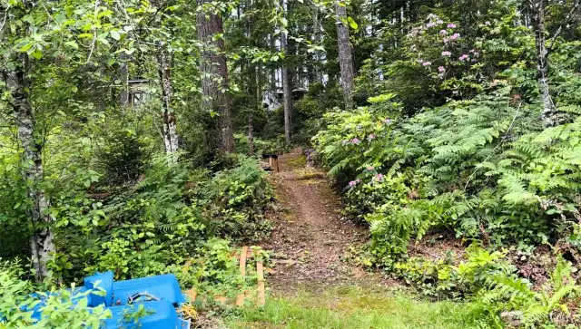 Looking back to the rv pad from the waters edge.