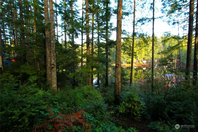 The lake as seen from the patio by the RV pad.