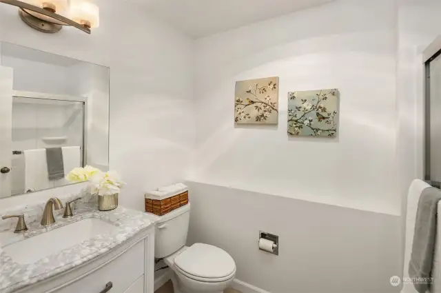 Bathroom on lower level