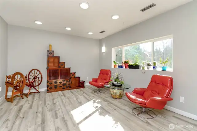 Another look at extra finished room
