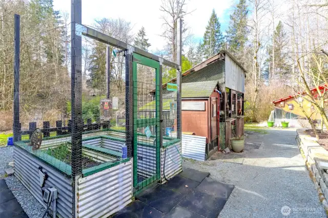 Raised garden area and chicken coop