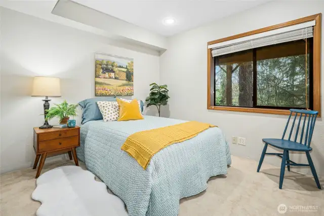 Bedroom #4 on the lower level