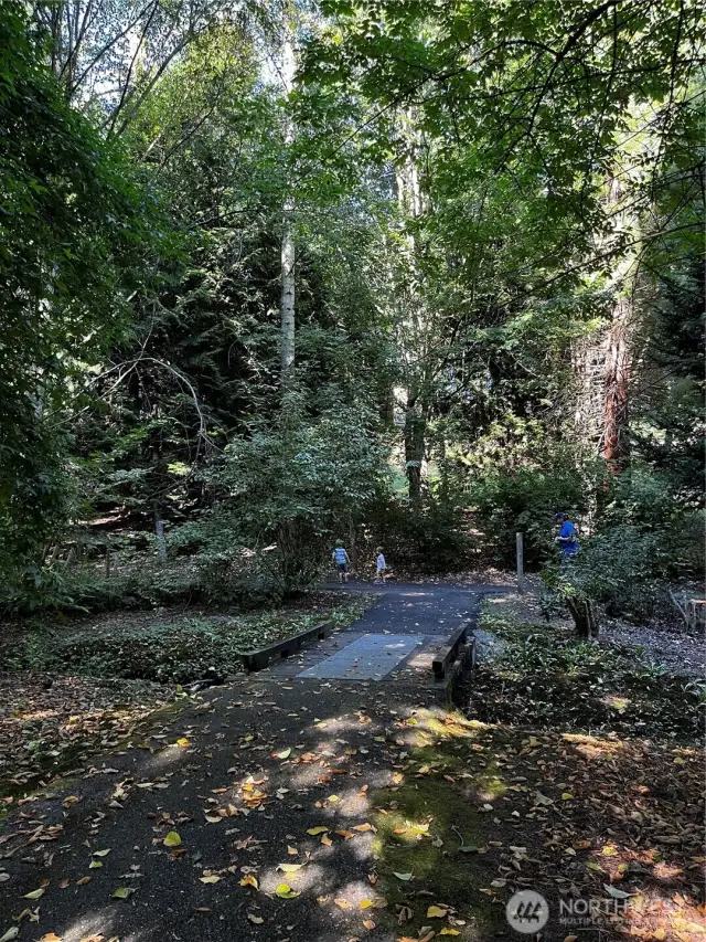 A seasonal creek to enjoy during your walks.