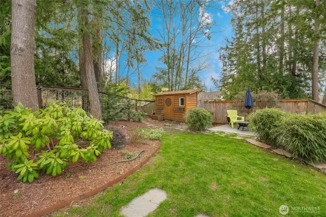 Another nice view of back yard and garden shed.