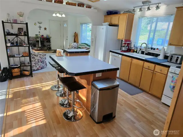 Expansive Kitchen